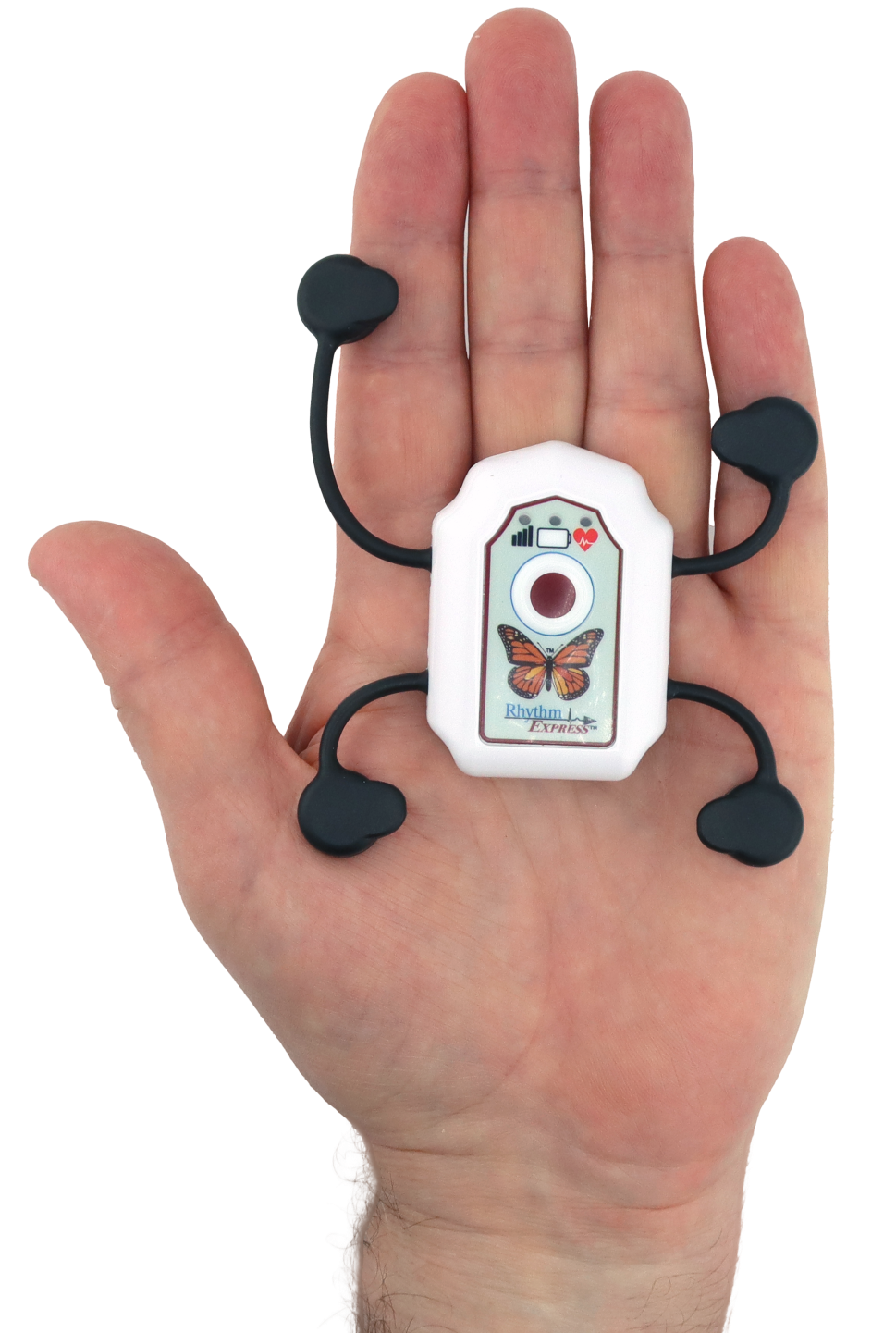 Home heart monitor